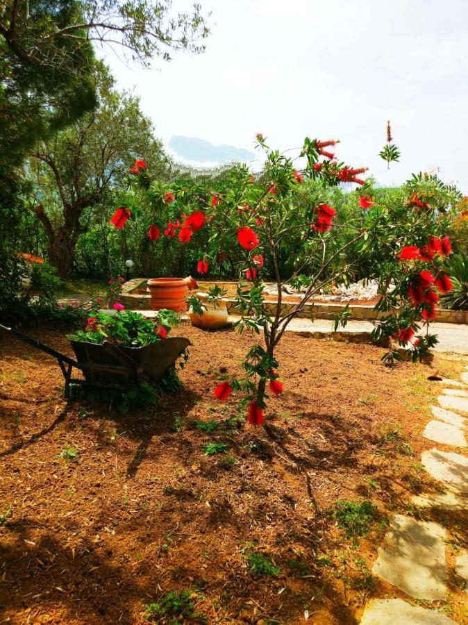 Villa Maroudia Кими Екстериор снимка